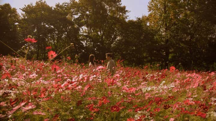 アン・カーティスのインスタグラム：「I think you should know something.... Another reason to love November.. @erwan.  Music: Nothing’s Gonna Hurt You Baby by @cigsaftersex」