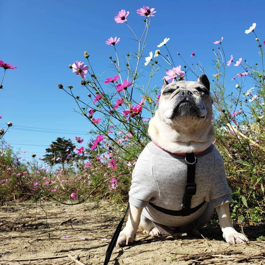 tamiのグルメインスタ