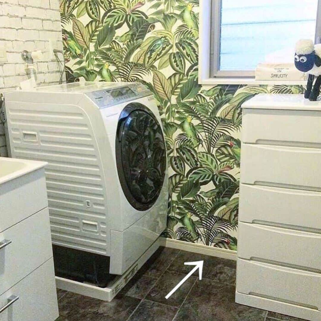 いなざうるす屋のインスタグラム