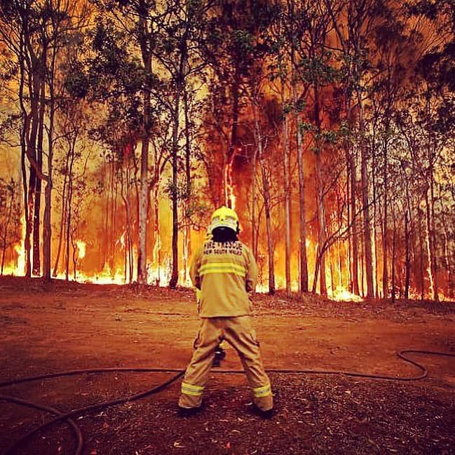 サマンサウィルスさんのインスタグラム写真 - (サマンサウィルスInstagram)「HOME. The fires on the mid and far north coast of NSW are devastating. ⠀ ⠀ Thank you to everyone who has messaged — my family in Port Macquarie are safe, many friends are fighting to save their homes. ⠀ ⠀ All the thanks and gratitude to the absolutely amazing work the NSW Regional Fire Service @NSWRFS is doing. ⠀ ⠀ Port Macquarie is surrounded by Bush land and is home to much wildlife and the @PortMacquarieKoalaHospital does incredible work in wildlife rehabilitation. ⠀ ⠀ ⠀ If you can help, here is some information for ways to support the above organisations. ⠀ ⠀ DONATE:⠀ ⠀ 🔥NSW Rural Fire Service⠀ Westpac: 032-001  171051⠀ Or via RFS.NSW.GOV.AU⠀ ⠀ 🐨Port Macquarie Koala Hospital⠀ KoalaHospital.org.au」11月10日 16時33分 - samanthawills