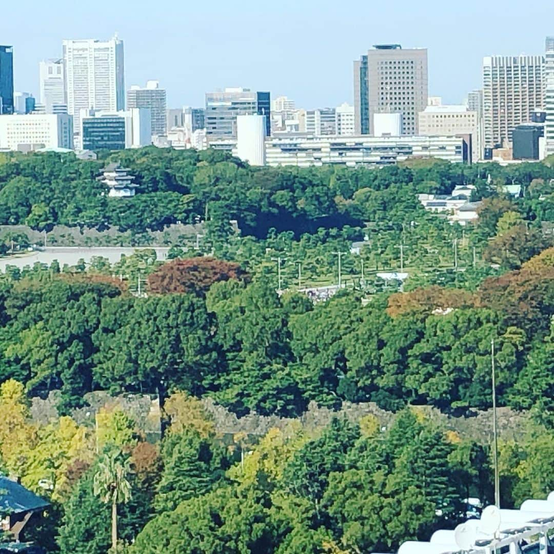 水谷さるころさんのインスタグラム写真 - (水谷さるころInstagram)「今日は母の喜寿のお祝いで食事会。母が好きなので帝国ホテルのバイキングサールへ。私もここは好き。そして、何が一番好きかというと、バターロール…。肉もケーキも食べても、パターロール5個は食べてしまう。いや、これね、中はほぼ空気だから！　今日はパレードがあったので、並んでる人が見えましたよ。いだてんで見たポテトサラダも食べた😊」11月10日 16時48分 - salucoro