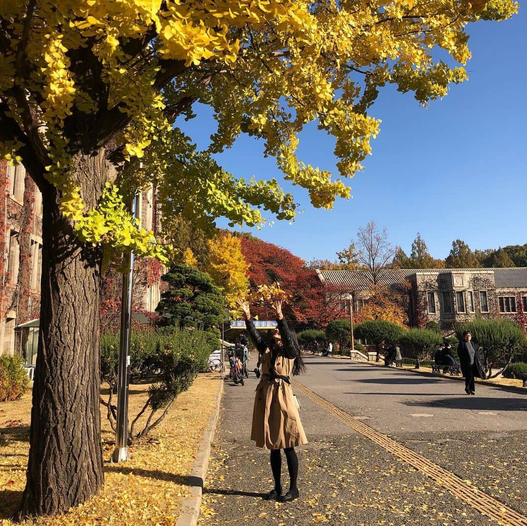 勝田梨乃さんのインスタグラム写真 - (勝田梨乃Instagram)「see you next time🍁🍂🌙」11月10日 16時58分 - rino_katsuta