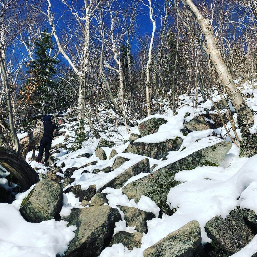 河合竜二さんのインスタグラム写真 - (河合竜二Instagram)「手稲山Trail running⛰ #手稲山 #絶景 #往復2時間40分😱 #お膝が… #ひさびさの投稿すみません🙇‍♂️ #こっちもフォローお願いします🙇⤵️ @c.r.c_ryuji_kawai」11月10日 17時13分 - ryuji.kawai444