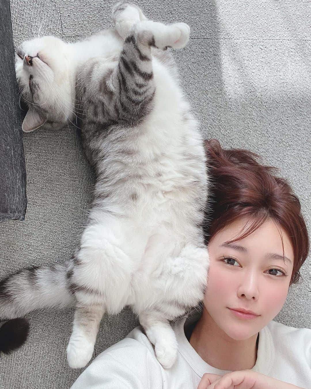 西野翔のインスタグラム：「むちゅこたんとのまどろみTime❤️ #catsofinstagram #スコティッシュフォールド立ち耳 #西野翔 #西野はまち #shownishino #japanesegirl #cat #ねこ#ねこのいる生活 #ねこ部 #ふわもこ部 #ガールズDJ自撮り部 #girlsdj」