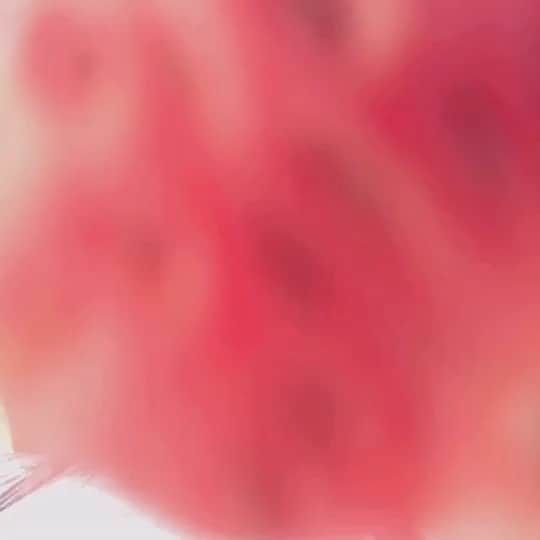 吉田万葉のインスタグラム：「いちごを食べるだけの動画🍓  #いちご　#公園　#日向ぼっこ　#甘い　#食べる #jk  #jk1  #girl  #Instagram」