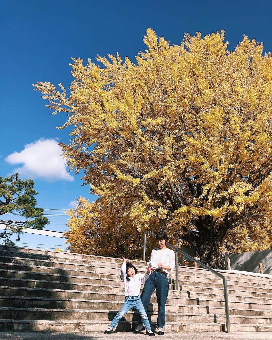 池田泉さんのインスタグラム写真 - (池田泉Instagram)「﻿ 紅葉🍁🍁🍁﻿ ﻿ 4歳の娘。﻿ ギャグセンスがなかなか高い。﻿ 毎日楽しいです😂」11月10日 19時11分 - xxizumi123xx