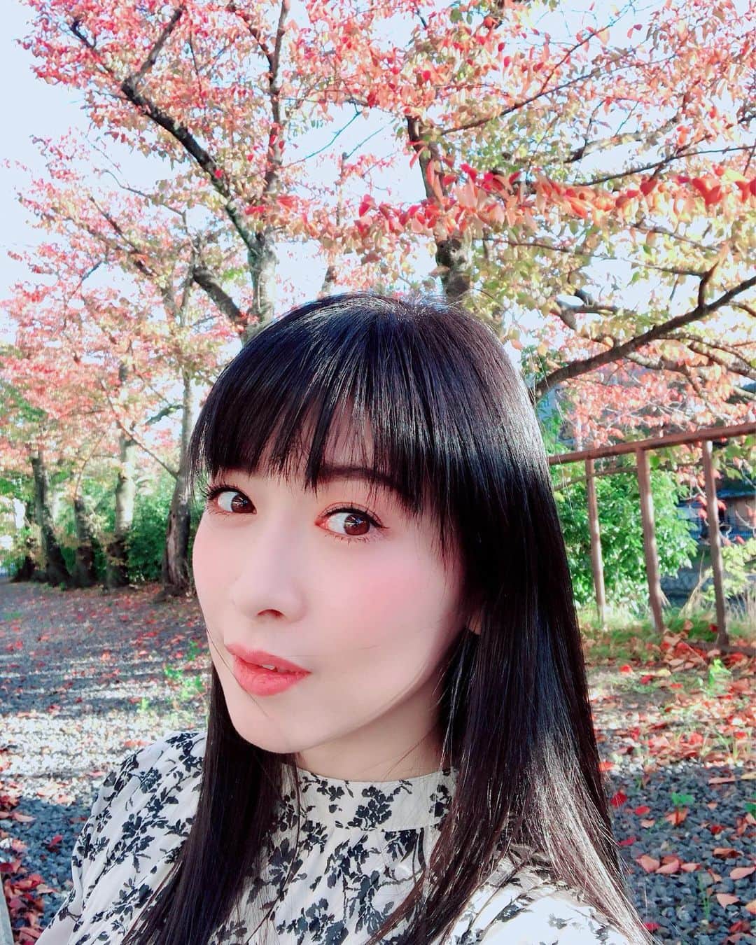 茅原実里さんのインスタグラム写真 - (茅原実里Instagram)「🍁 京都の紅葉は、 とっても綺麗だったなぁ。。 また京都行きたい！  #茅原実里　#minorin #京都　#紅葉」11月10日 19時17分 - minori_chihara