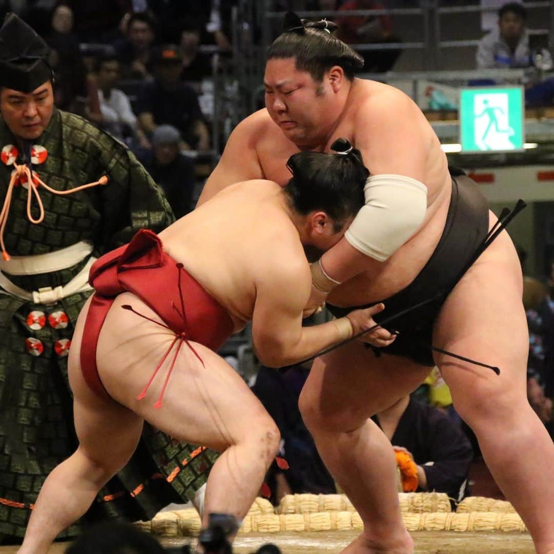 日本相撲協会さんのインスタグラム写真 - (日本相撲協会Instagram)「幕内の取組。﻿ 琴奨菊、佐田の海、松鳳山、琴恵光、剣翔。﻿ ﻿ @sumokyokai ﻿ #sumo﻿  #相撲 ﻿ #力士﻿ #お相撲さん﻿ #大相撲 ﻿ #11月場所 ﻿ #九州場所 ﻿ #福岡県 ﻿ #福岡 ﻿ #博多 ﻿ #九州　﻿ #博多旅行﻿ #九州旅行﻿ #博多観光﻿ ﻿ #琴奨菊﻿ #佐田の海﻿ #松鳳山﻿ #琴恵光﻿ #剣翔﻿ ﻿ #日本 ﻿ #japan ﻿ #sumo﻿ #sumowrestling﻿ #sumowrestler﻿ #sumowrestlers」11月10日 19時23分 - sumokyokai