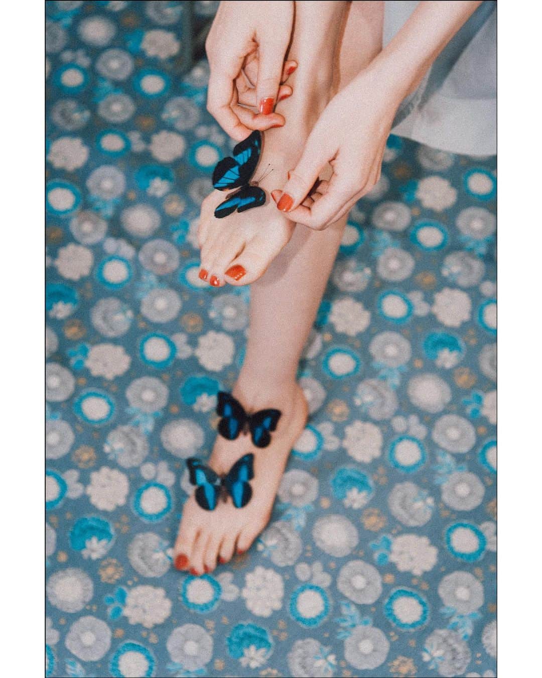 daruma64のインスタグラム：「🦋🦋🦋 . . #littlerivermag#apricotmagazine#oftheafternoon#takemagazine#ifyouleave#shootaesthetics#hurtlamb#fndit#espritmag#rentalmag#artclassified#gominimalmag#somewheremagazine#classicsmagazine#knowthismind#dreamermagazine#photocinematica#ourmag#mediterraneancitizenstory#taintedmag#insomniamag#paradisaeart#archivecollectivemag#indiependentmag#reco_ig#indies_gram#igersjp#missnothingmag#indy_photolife#super_ordinarylife .」