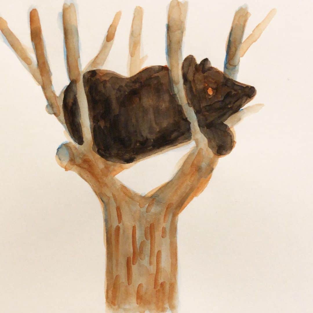 合田経郎のインスタグラム：「動物園で、木の上でまったりするクマを見ていた。 #らくがき生活 #watercolor」