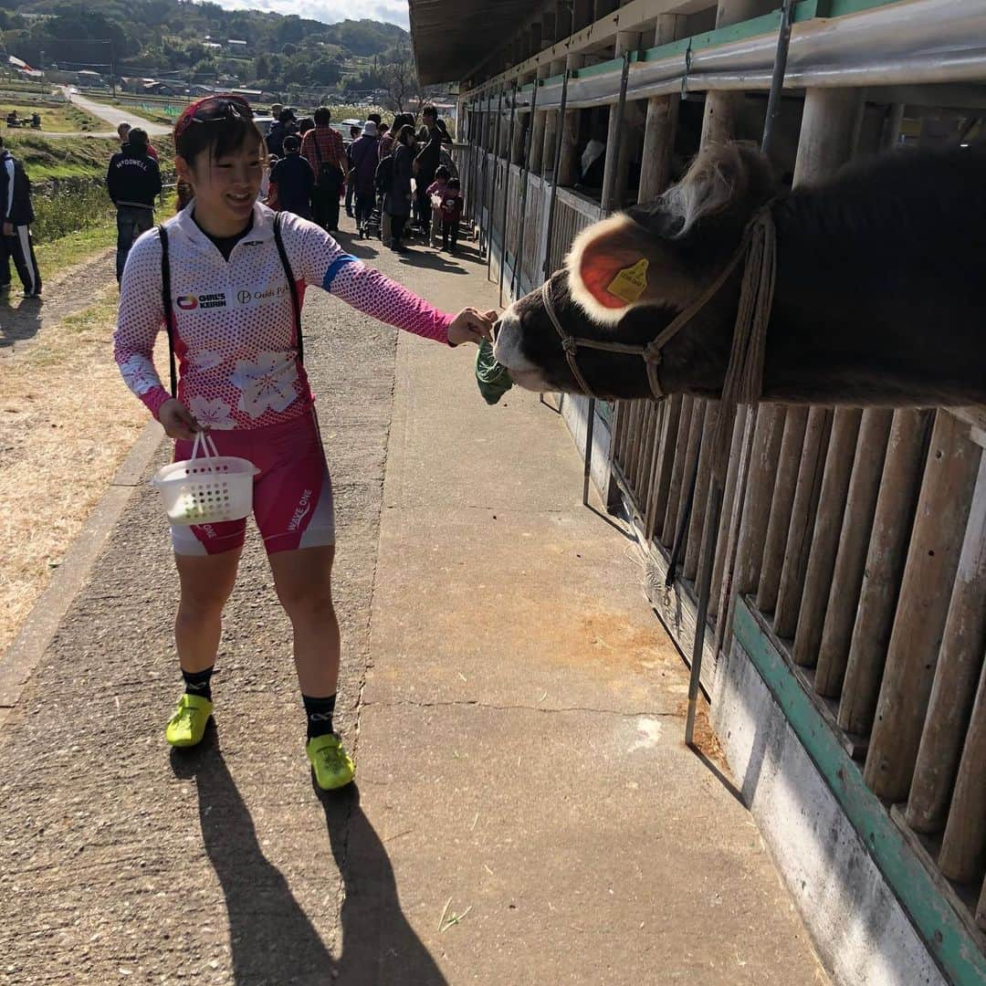 鈴木奈央さんのインスタグラム写真 - (鈴木奈央Instagram)「. 今日はリカバリーロードの日だったので、 "伊豆丹那酪農王国オラッチェ" に行ってきました🐮 . 動物たちに餌をあげたり 美味しいサーロインステーキ 飲むヨーグルト、ソフトクリーム まで頂いちゃいました😋💕 . 幸せな1日でした😌🤲 . #丹那牛乳ボトル 🥛 #コーヒー牛乳ボトル 💕 激かわだら😍 コーヒー牛乳の方は もう売り切れで売っていませんが、 丹那牛乳ボトルはまだ売っていますよ！ . #伊豆丹那酪農王国オラッチェ  #丹那牛乳」11月10日 19時44分 - keirin70