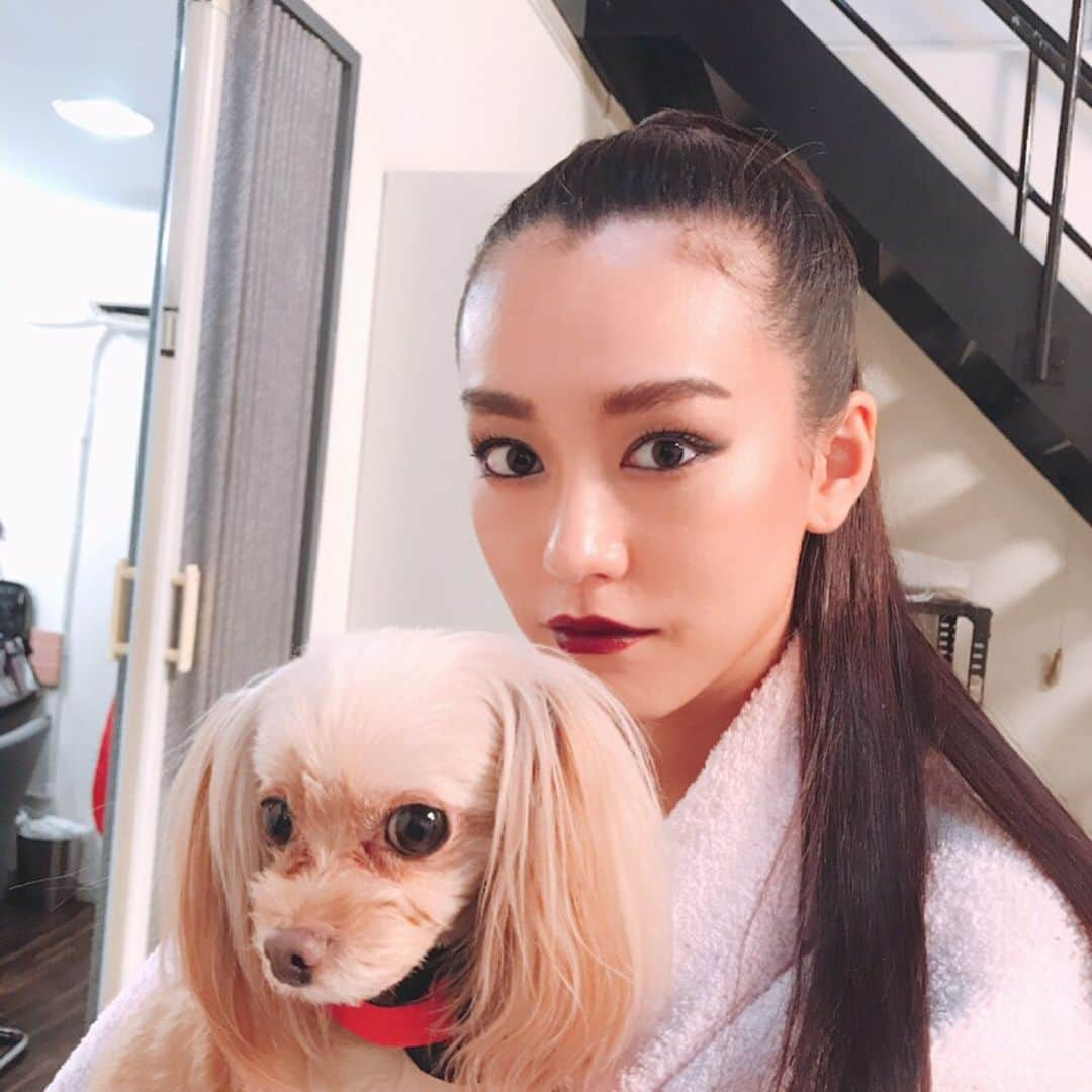 GINGERさんのインスタグラム写真 - (GINGERInstagram)「美玲ちゃん×ぱっちゃん第2段🐶💓 連載の撮影日にも愛しのぱっちゃんも一緒に😆✨ #gingermagazine  #桐谷美玲 #オフショット #ぱとら #ぱっちゃん #ginger #ジンジャー #gingerweb」11月10日 19時44分 - ginger_magazine