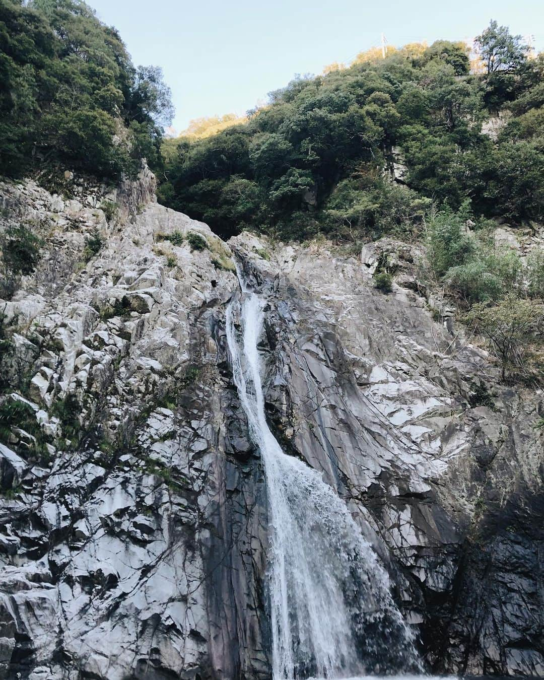 芹奈（長谷川芹奈）さんのインスタグラム写真 - (芹奈（長谷川芹奈）Instagram)「🔋🌱ちゃーじ、」11月10日 20時05分 - lgm_serina_official