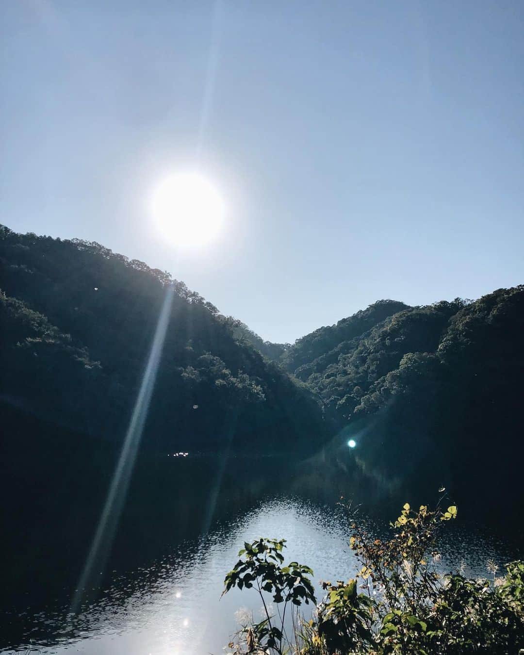 芹奈（長谷川芹奈）さんのインスタグラム写真 - (芹奈（長谷川芹奈）Instagram)「🔋🌱ちゃーじ、」11月10日 20時05分 - lgm_serina_official