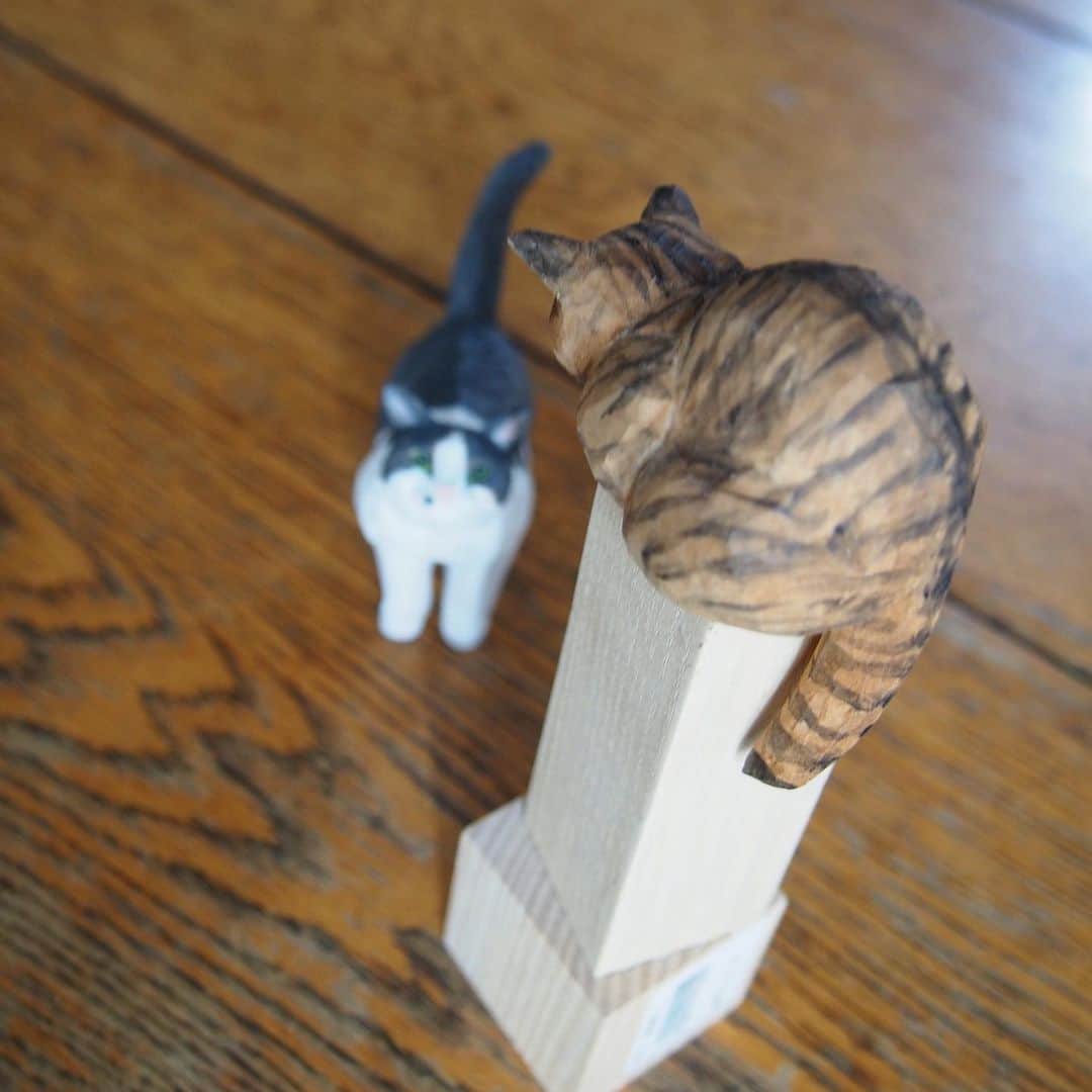 yamanekoさんのインスタグラム写真 - (yamanekoInstagram)「今日ジャローナさんに個展の搬入して来ました。 写真の猫はウチのトト子とタロー、この2人は非売ですが展示はしていますのでぜひ会いに来てください😸  #バンナイリョウジ個展  #小さな木彫りのねこ5 #赤坂ジャローナ #彫刻#ねこ #ねこ部 #sculpture #cat #catstagram #catsofinstagram #ねこすたぐらむ #トト子#タロー#仲悪い#バンナイリョウジ」11月10日 20時01分 - yamaneko5656