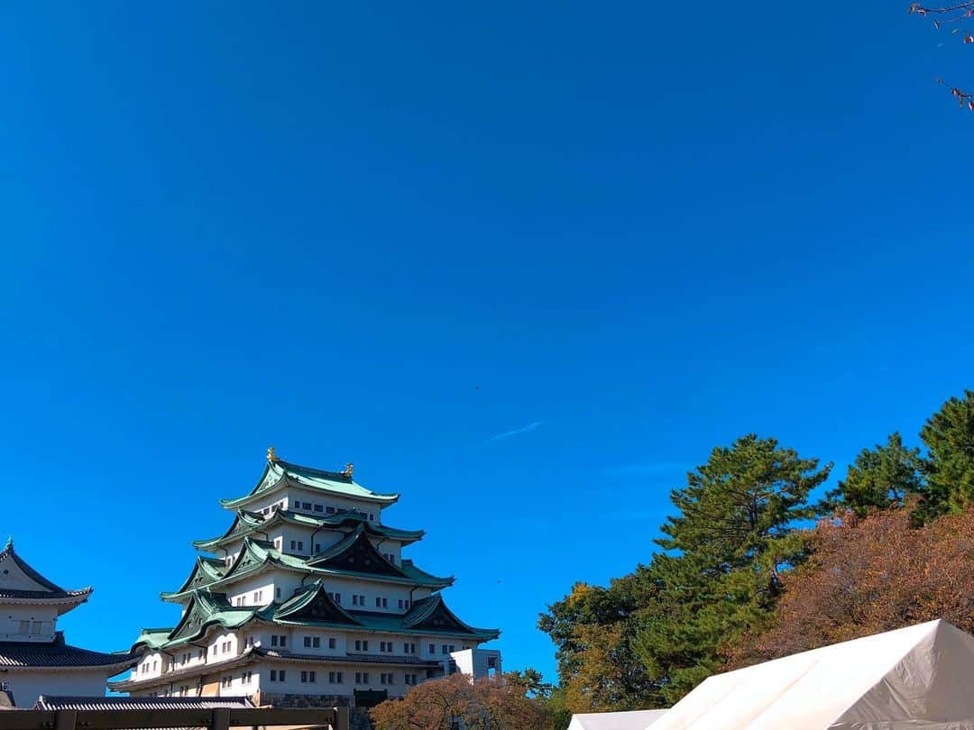 Mameのインスタグラム：「名古屋へ行ってきました😃」