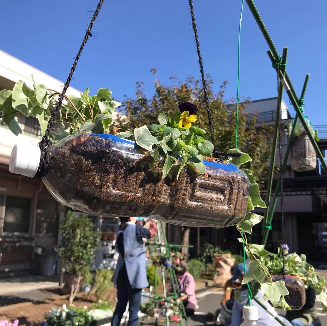 小谷あゆみのインスタグラム：「#空飛ぶペットボトルガーデン！ #園芸福祉士 養成講座でした！ 園芸×福祉の効用の中でも園芸療法（セラピー）は昔から聞きますが、#園芸福祉　はもう少し広義に #仲間と植物を育てみんなで幸せになる　#環境福祉 という概念が基本にあるようです（まだ習い始めたばかりですが） 土いじり楽しかったー‼️ チームラビットの皆さんと室内でプランを練り、すぐ外の花壇に出て実践できるので、行動に直結して心地よかったー 午前中の創作は、ゆらゆら揺れるブランコをテーマにしたペットボトルガーデン 午後からはテーマ別で、わたし達チームラビットストレスフリーがテーマ。白と淡い色を基調に、 名付けて　 #あなたの庭ここにいていいよ♡ タイトル聞くだけでじぃ〜んと来る包括的でありのままのレリゴーレリゴーなガーデニングです。 また書き出すと終わらないので取り急ぎ今日の写真アップ〜 チームの皆さま、園芸福祉に関心のある男女から大学生まで幅広くみんな前向きでやさしくて嬉しかったー(￣▽￣) #園芸福祉士入門 #日本園芸福祉普及協会  全国に会場あり、4日間の講座です 世田谷、某福祉友愛会にて （来週は名古屋で受講〜）」