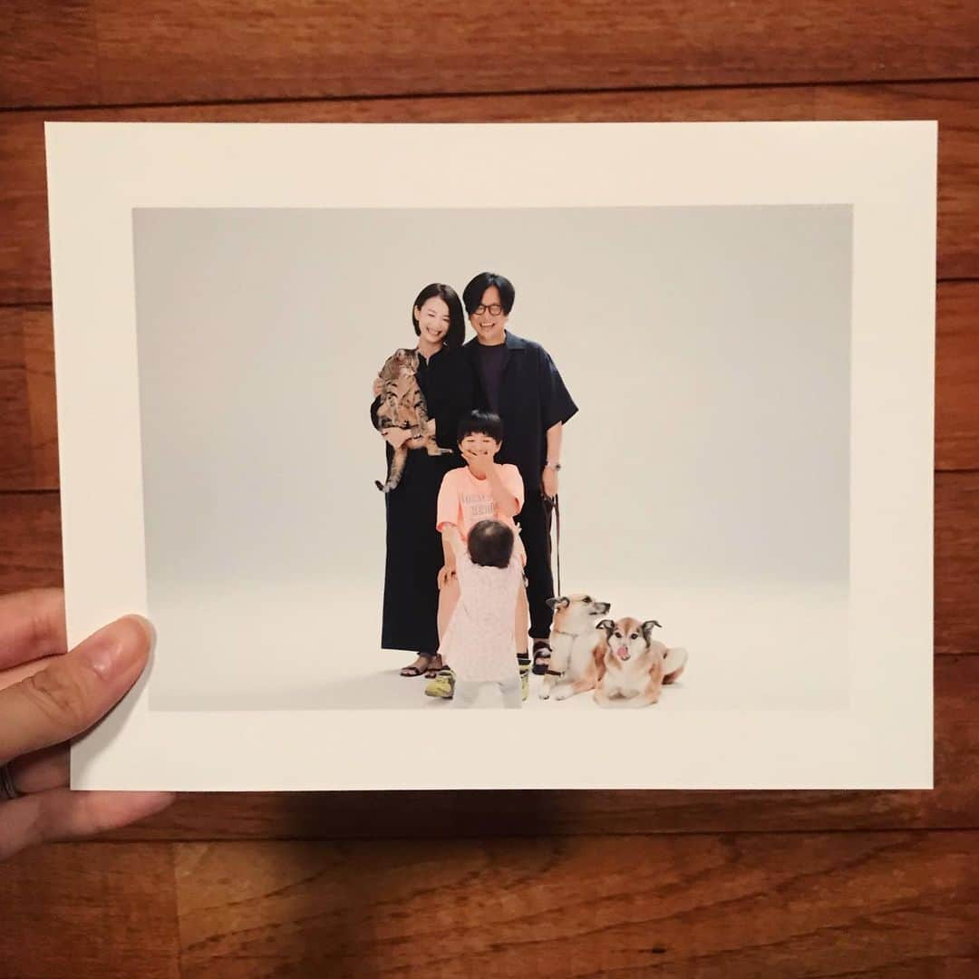 澤田泉美さんのインスタグラム写真 - (澤田泉美Instagram)「家族写真👨‍👩‍👧‍👦🐶🐶🐱 撮影を重ねていくと、 過去を振り返ることができ、 家族が増えていくこともそうだけど、 空気感が変化しているのがわかるから 貴重な時間をいつも切り取ってもらっているなぁーと、本当に有難いです。 📷 「来年もまた撮りましょうね」と言ってくれる正田さんに心からの感謝‼️ どうぞ来年も宜しくお願いします🙇‍♀️ #正田真弘 #家族#写真 #珍しく#全員集合#載せてみました #サクモンピーとの生活」11月10日 20時37分 - izumi.sawada