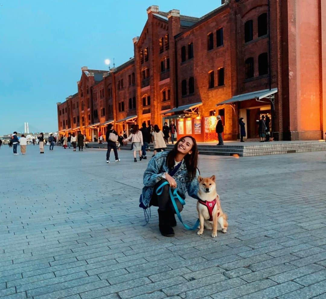 香川沙耶さんのインスタグラム写真 - (香川沙耶Instagram)「Happy Sunday！ 新横浜公園ドッグラン🐕💨 中華街🥟🐼 赤レンガ倉庫🧱✨ コスモワールド🎢🎡 久しぶりにたーーっぷり休日を楽しめたよ！ とっても幸せな日曜日🤪🤟🏽 (これから、ジェットコースター定期的に乗った方がいいかも) 心の充電完了👍🏽❤️🔋 #dayoff  #happyweekend  #innerpeace」11月10日 20時43分 - saya.kagawa