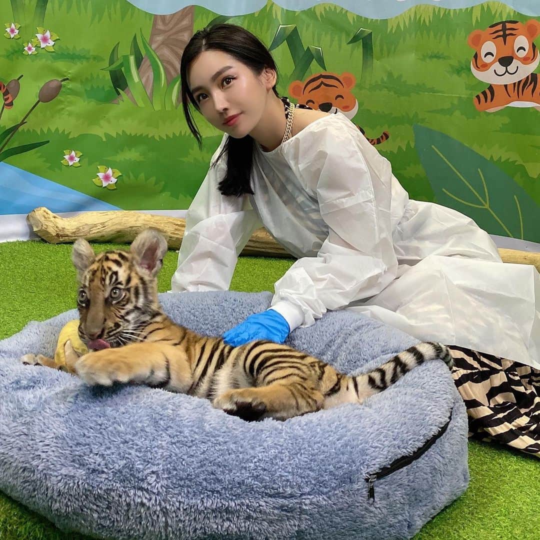 megbabyのインスタグラム：「赤ちゃんも触らせていただきました🥺💕💕💕かわいい😭💕#babytiger🐯」
