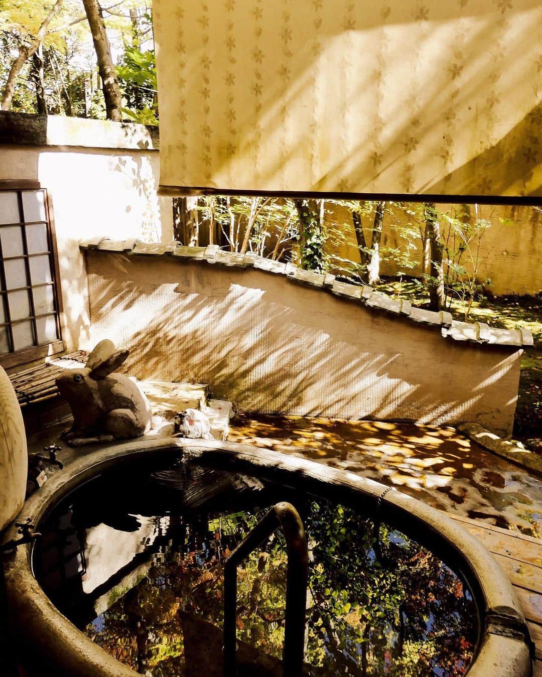 加藤ジュンコのグルメインスタ