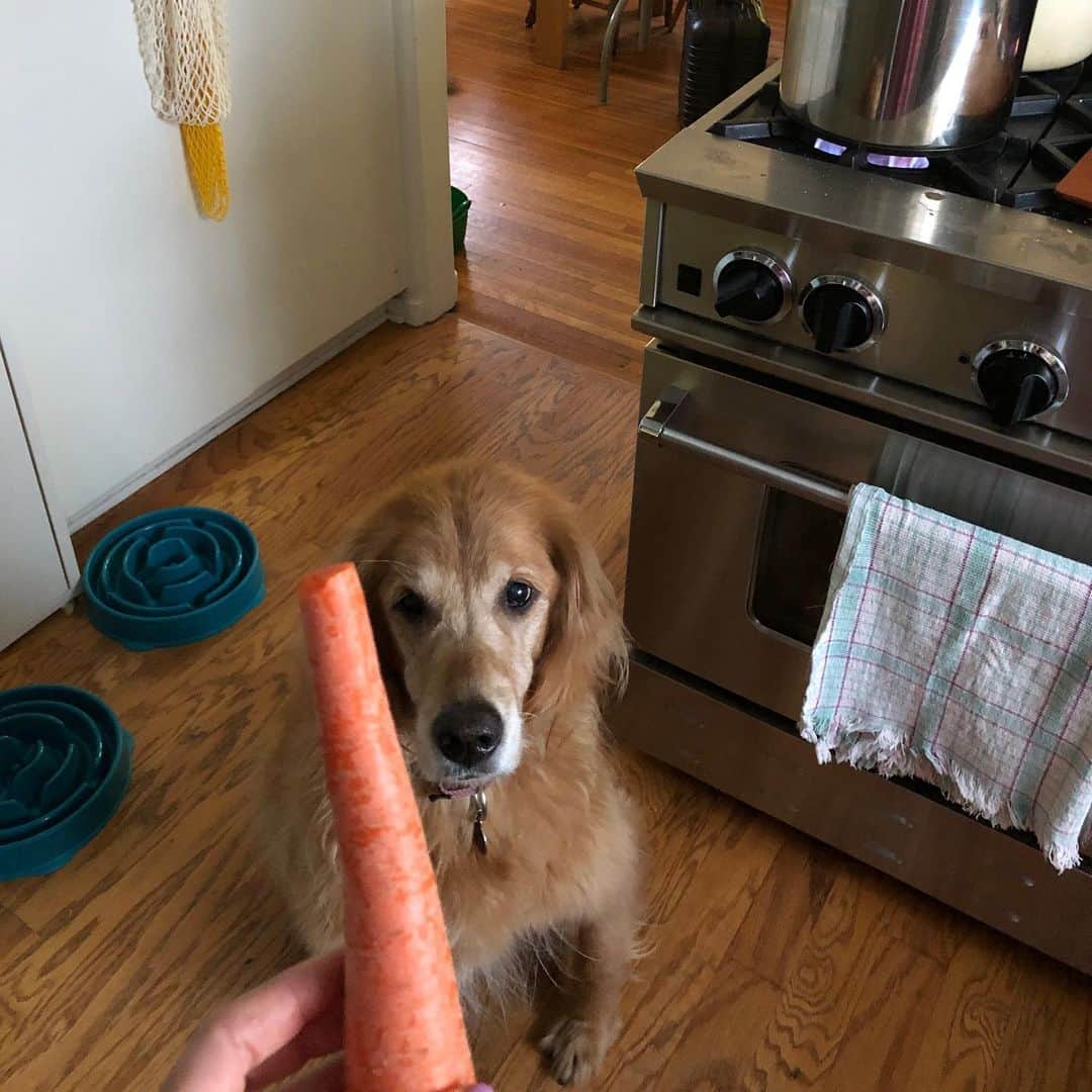 クリスティン・ウッズのインスタグラム：「Carrot is Lord 🥕」