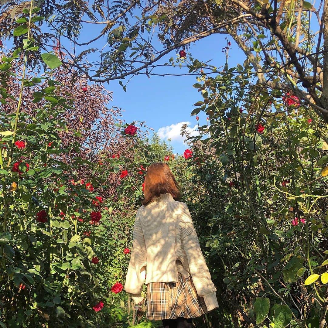 杉枝真結さんのインスタグラム写真 - (杉枝真結Instagram)「おはよう🌞💓 家族で、大好きな花畑へ。 - 首にも… しっかりとボリュームがあって 大きめの可愛いニットに🧶 チェックのスカートを合わせて レトロファッションの完成ーっ！✨ - #titivate #titivatestyle #ootd #ティティベイト #コーデ #ファッション #ボリュームニット @titivatejp」11月11日 7時54分 - mayusugieda_official
