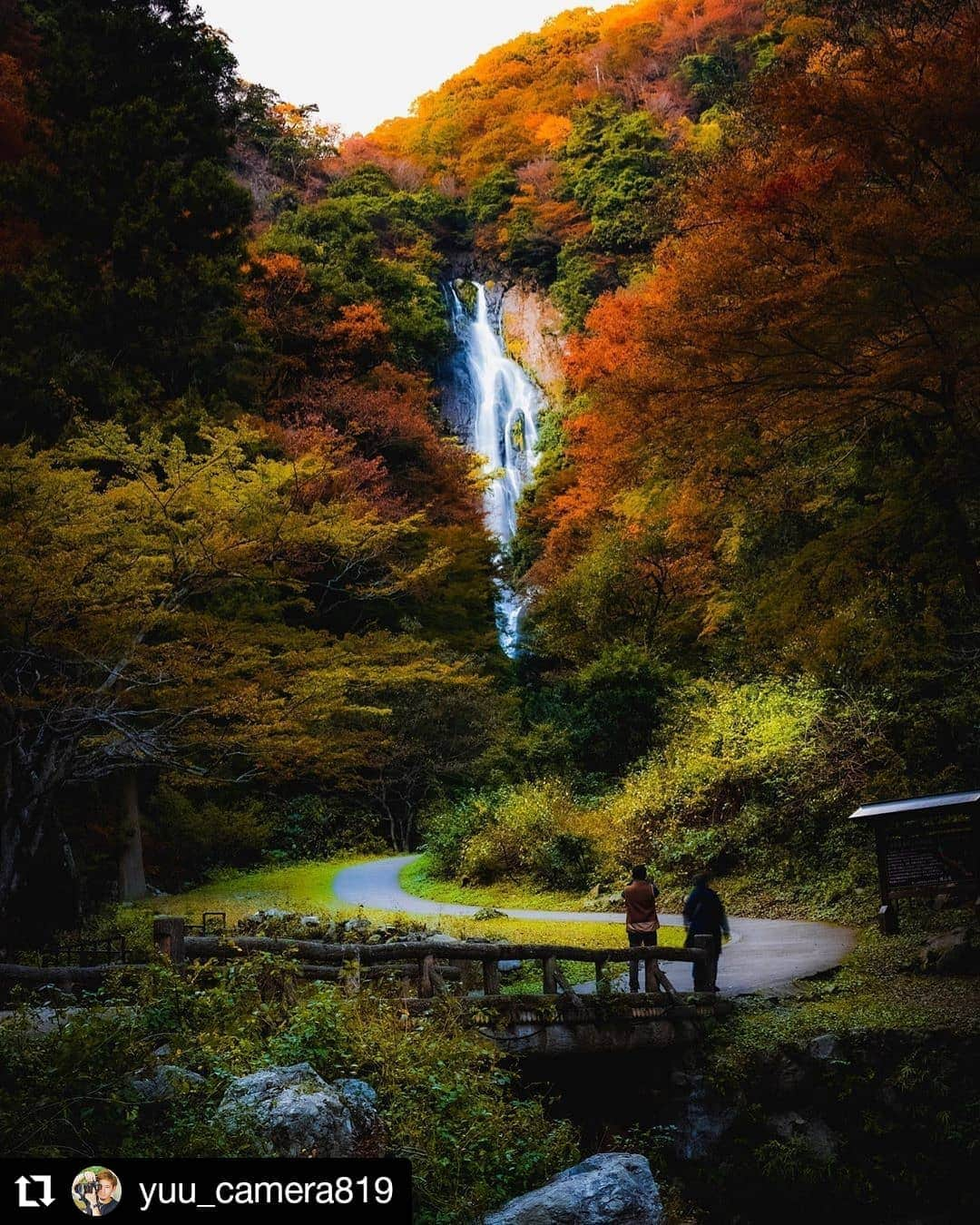 カメラのキタムラさんのインスタグラム写真 - (カメラのキタムラInstagram)「Repost @yuu_camera819 様 • • • • • • 神庭の滝 . 真庭の誇る紅葉スポット 真庭市民なら行かんといけんという使命感から行ってきた笑 残念ながら今回も猿には会えず🙈 .  #art_of_japan#team_jp_#colore_de_saison#setouchi_gram#岡山カメラ部#岡山写真部#岡山へ行こう#来んちゃい岡山#映えの国#瀬戸内ぐらむ#カメラ好きな人と繋がりたい#ファインダー越しの私の世界#けしからん風景#ダレカニミセタイケシキ#キリトリセカイ#カメラ男子#東京カメラ部#その瞬間に物語を#キタムラ写真投稿#カメラのある生活#岡山#真庭#maniwapics#滝#waterfall#風景#紅葉#紅葉狩り#神庭の滝#scenery」11月11日 8時00分 - camera_kitamura