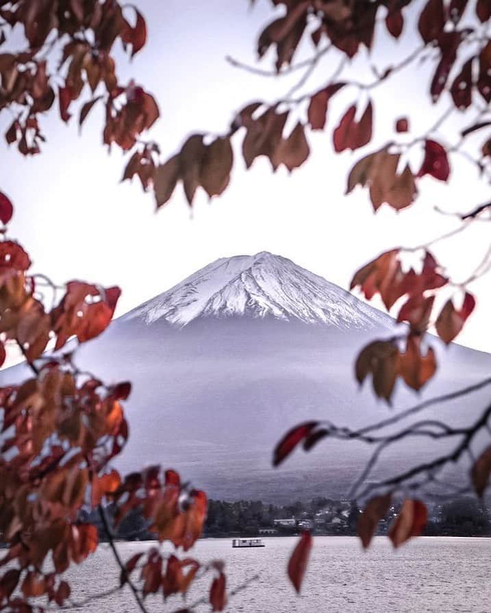 Kazukiさんのインスタグラム写真 - (KazukiInstagram)「. 富士山and紅葉パワーで週末チャージ🍁. . . . .」11月11日 0時02分 - kazukihamano