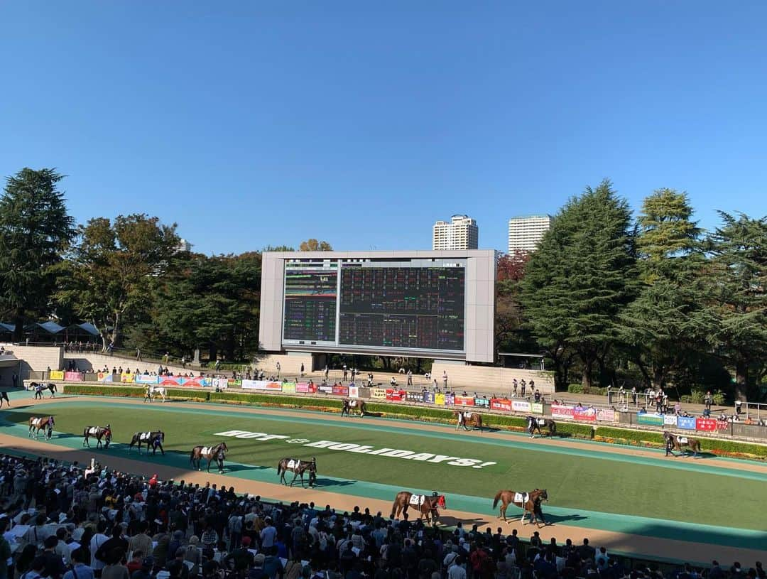 小山愛理さんのインスタグラム写真 - (小山愛理Instagram)「. 今日は、今年最後の東京競馬場でのパドック進行でした！ 天気も良く、すばらしい競馬日和だったと思います😌 (馬券の方は寒かったですが…) . みなさんも一日お疲れさまでした😄 . #東京競馬場#府中#パドック#グリーンチャンネル#競馬女子#ウマ女#umajo」11月11日 0時17分 - koyama_airi