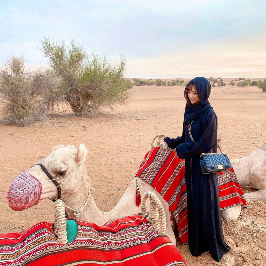 夏本あさみさんのインスタグラム写真 - (夏本あさみInstagram)「my camel 🐫💕 * * #Dubai #ドバイ旅行 #ラクダ #🇦🇪 #Arab #アラブ首長国連邦 #luxurylifestyle #luxuryhotel」11月11日 0時20分 - natsumotoasami