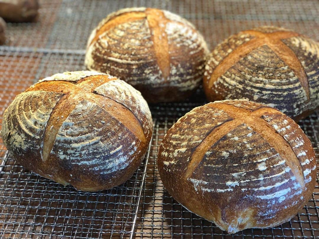 RENA のグルメインスタ