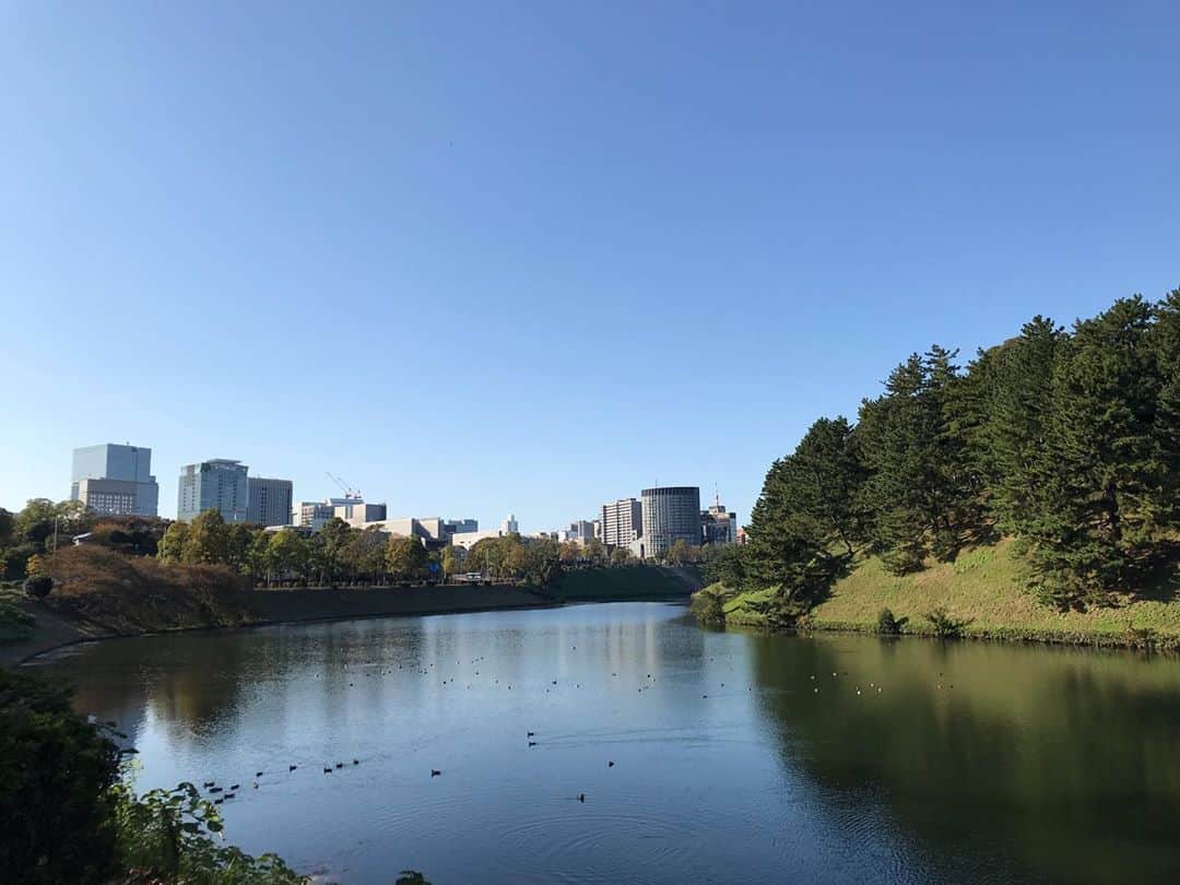 砂山圭大郎のインスタグラム：「祝賀パレードにて。 なんという穏やかな空でしょう。 パレードの喧騒の中、お堀の中では鴨が優雅に泳いでいました。 #祝賀御列の儀 #桜田門」