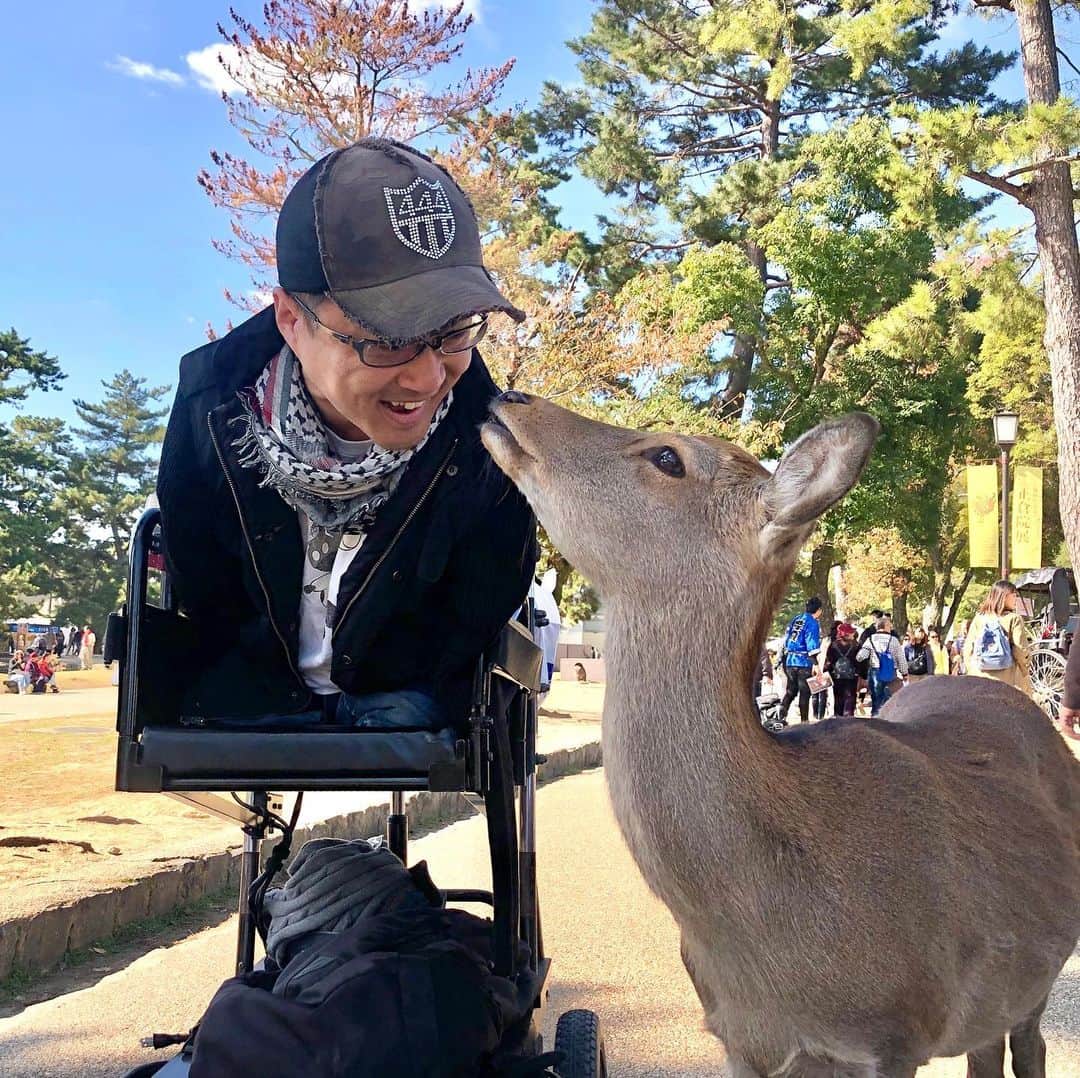 乙武洋匡さんのインスタグラム写真 - (乙武洋匡Instagram)「鹿と戯れる。  #奈良 #奈良観光 #奈良旅行 #奈良公園 #奈良公園の鹿 #鹿🦌 #🦌」11月11日 8時19分 - ototake_official