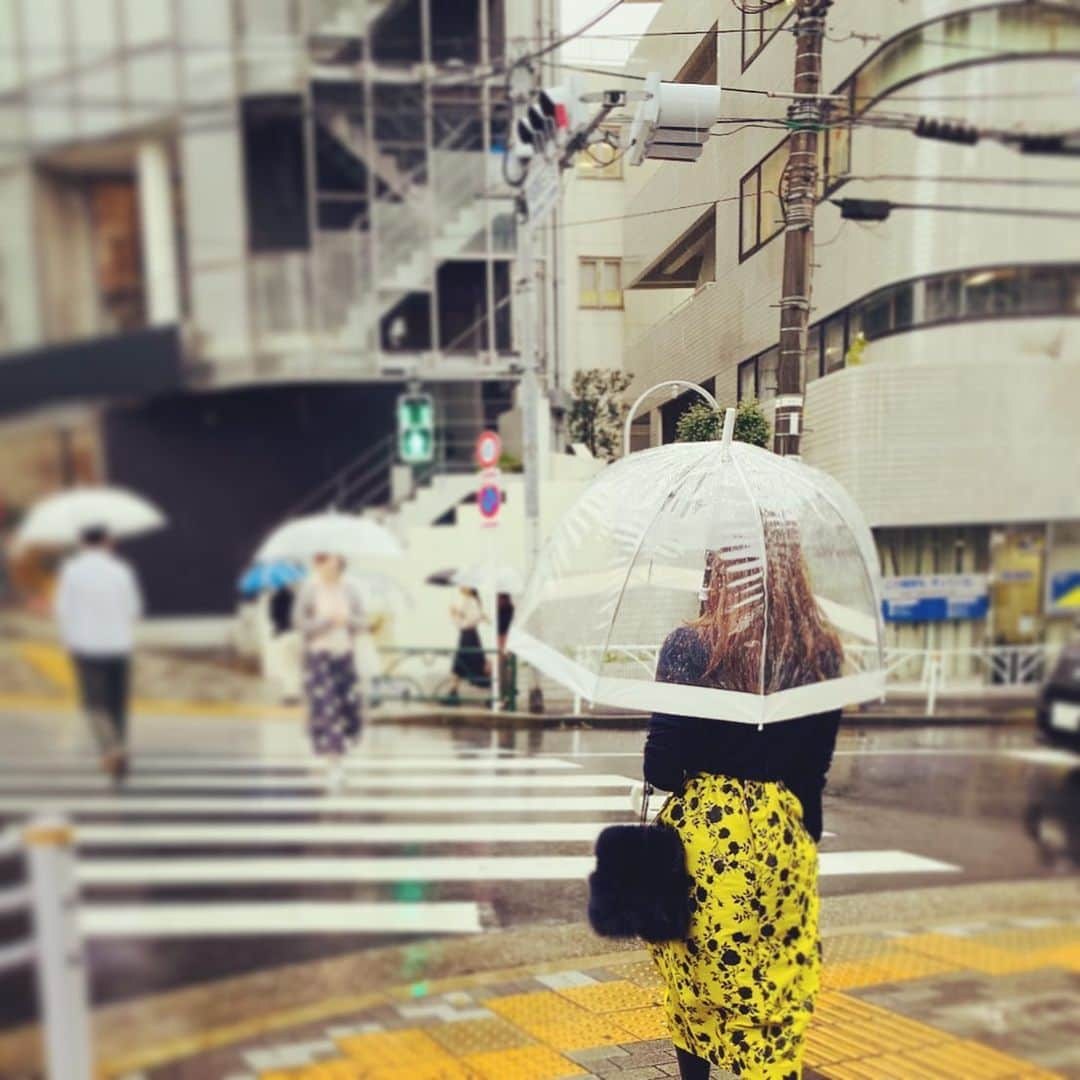 神崎恵さんのインスタグラム写真 - (神崎恵Instagram)「雨が上がったときの晴れやかさ。 今まで何回も何回も体験してきているのに、変わりなく、格別な気分になる。 月曜日。今日も取材と打ち合わせで話し続けた1日。 仕事。好きだなぁ。と改めて感じる週の始まりです。 明日は21度になるとか。 今週はイベントもあって、お会いできるのが、楽しみでしかたないです😌 以前コメントをいただいた、ネイビーのふわふわバッグ。以前 @drawerofficial でいただいたノベルティです。付録とか、ノベルティとか、もう、本当に。それおまけでいいんですか⁈のレベルで驚く。 付録もノベルティも、かわいいものはバシバシ使う♡ わたしも今、いくつか付録制作をしています。 とっておきのかわいいものをご紹介できそうです。楽しみだ♡ かわいいものをみんなでお揃いってのも、 またいい♡」11月11日 16時10分 - megumi_kanzaki