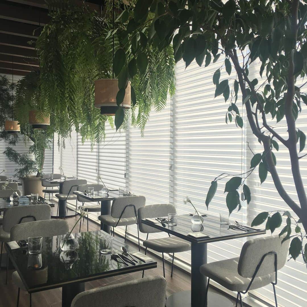 増山敬子さんのインスタグラム写真 - (増山敬子Instagram)「@ellecafejapan  エルカフェの空間が一番好きかな！ お料理も美味しいし色彩も綺麗で、食材へのこだわりも嬉しい！ 今はグリーンとの融合でリラックスして、お食事が楽しめますよ😌✨✨」11月11日 16時05分 - keikomasuyama