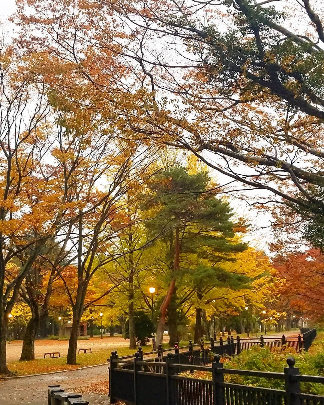 黒田啓蔵さんのインスタグラム写真 - (黒田啓蔵Instagram)「只今、仙台で仕事中です。 もう、こんな時期なんですね。 こちらは、寒いですよ☺️ 仕事、終わり次第東京へ。 明日は、別件で早朝福岡へ。 #宮城県 #仙台 #仙台市 #ライブ #ヘアメイク#終わり次第東京 #明日 #早朝便 #福岡へ」11月11日 16時19分 - kurodakeizo