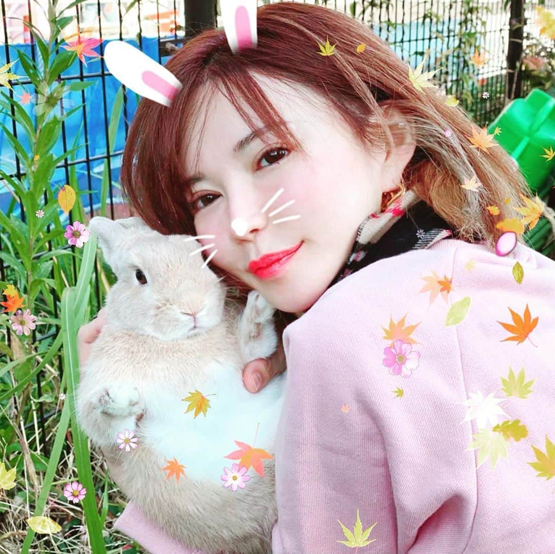 里美ゆりあのインスタグラム：「#ラビットラン　の#季節　がやってきました^_^♫ ちょこりんぽんた❤️ 沢山#うさんぽ　出来て楽しんでくれたかな(^^)✨ #rabbit #bunny #cute #pretty #happy #love」