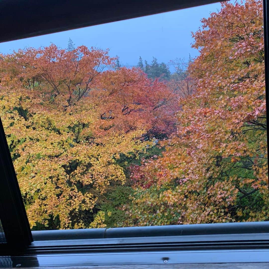 田中悦子のグルメインスタ