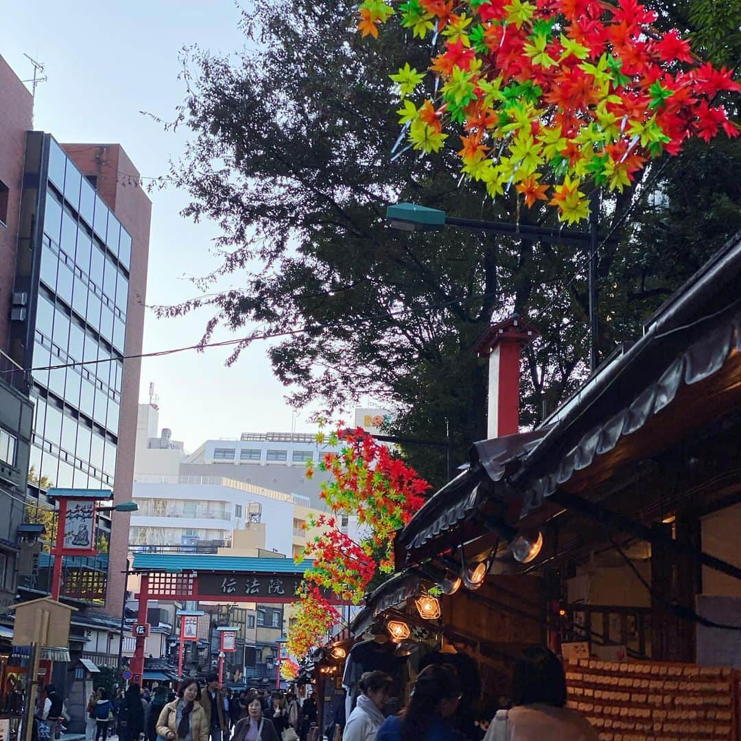 清川あさみさんのインスタグラム写真 - (清川あさみInstagram)「今週末は改めて日本の面白い場所を開拓しに🇯🇵浅草に神楽坂に。色々な場所に行くほど風情がある場所に行きたくなる。自分の肌できちんと感じて伝えたい✨ #花やしき #家族で浅草 #天皇即位の礼 #tokyotower #日本文化 #japan #デートにオススメ #浅草と神楽坂 @trunkhousekagurazaka #檜 #ミニディスコ」11月11日 9時03分 - asami_kiyokawa