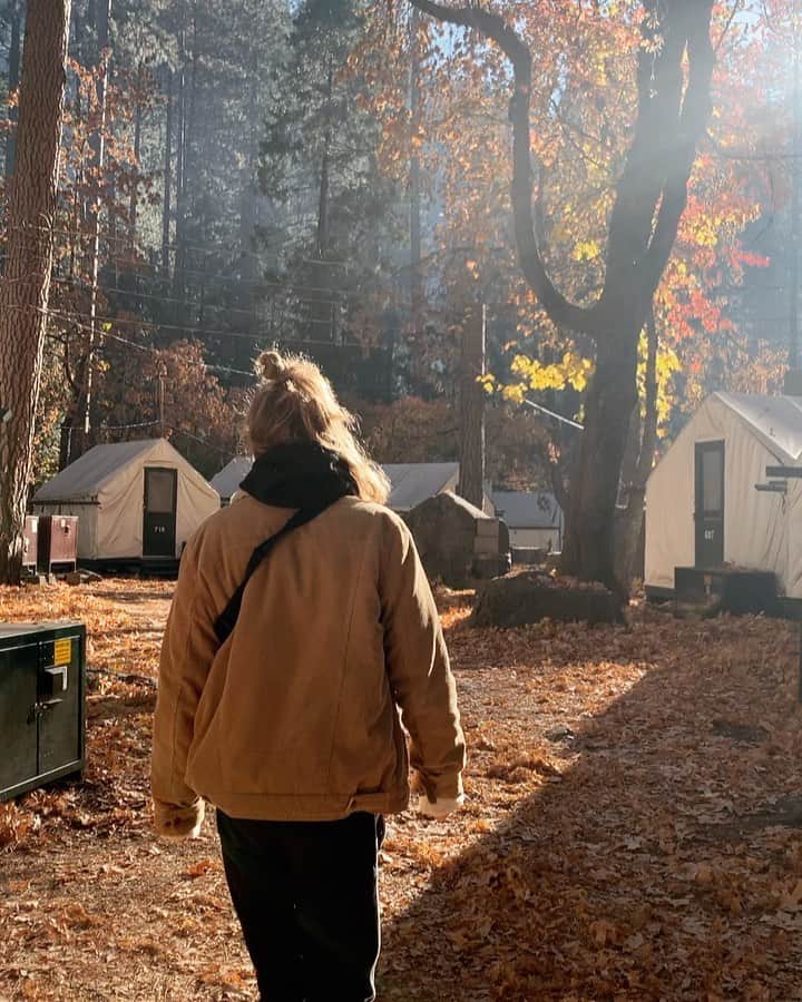 キャサリン・C・ヒューズのインスタグラム：「Yosemite backsides 🌲🍂」