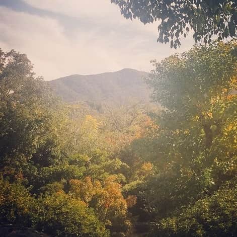 のインスタグラム：「Fall foliage season.  #Nagasaki #peacepark #japan #nagasakilovers」