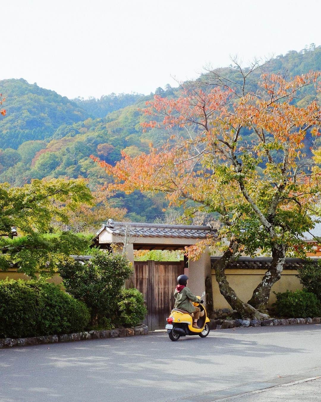 Y U R I Eさんのインスタグラム写真 - (Y U R I EInstagram)「2回目の京都バイク旅🛵 今回は夫婦でツーリング🥰しかも念願の秋の京都だ🍁 嵐山の竹林の小径。風情があってとても好きな場所😌 天龍寺は紅葉が色づきはじめだった✨今週〜来週くらいには見頃になるのかな？ このイエローのバイク、2台で走ってたら、道ゆく人にたくさん話しかけられた🤣🙌🧡信号待ちの車の窓からも！笑アンテルーム京都の宿泊者は無料でレンタルできますよ😉👌🎶 📷 by @s1300pacy  #HondaGO #Honda#kyoto#anteroomkyoto#HondaGOBIKESTAND#goout関西#HondaGOBIKESTAND#バイク #バイク旅 #京都 #嵐山 #竹林 #抹茶#天龍寺 #ジョルノ#カブ #ソトアソビ #アンテルーム京都 #レンタルバイク#すべての旅を冒険に変える」11月11日 10時16分 - yuriexx67