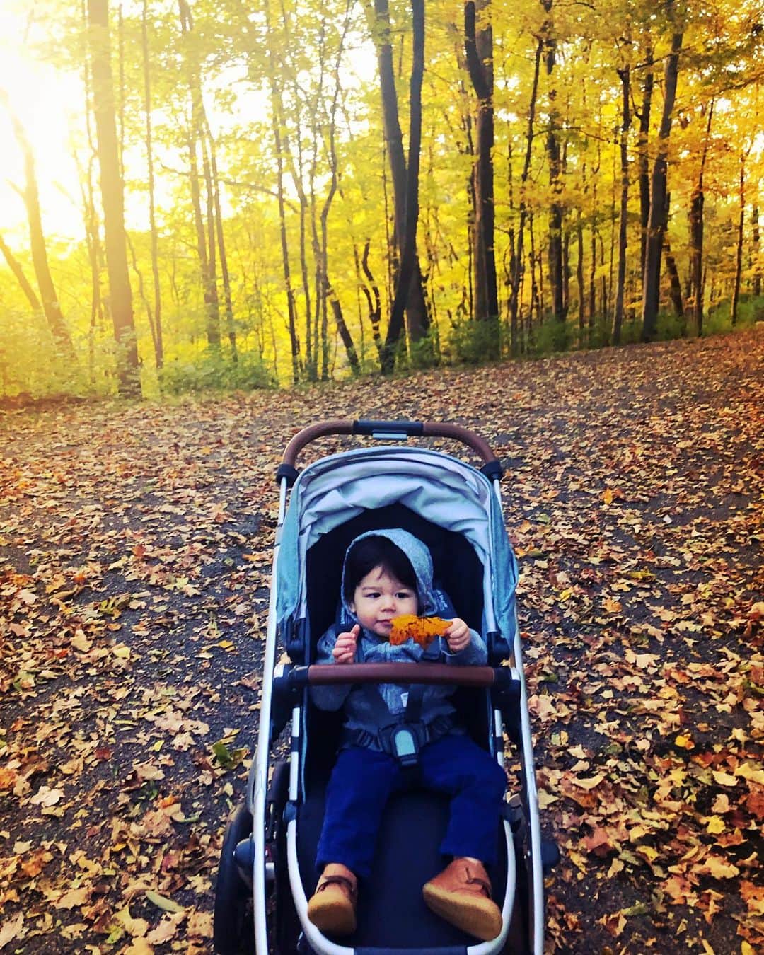 ミシェル・ブランチのインスタグラム：「Everything is golden ✨🧡🍁」