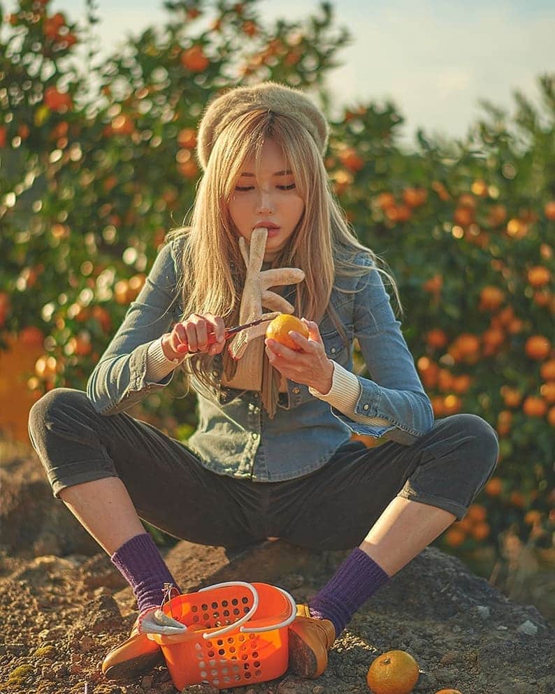 のインスタグラム：「🍊귤 농장 체험 in jeju 🌿 . 💛 . 💚 . #제주 #귤따기 #귤농장 #제주귤농장 #제주귤따기체험 #귤밭 #일꾼 #jejuisland」