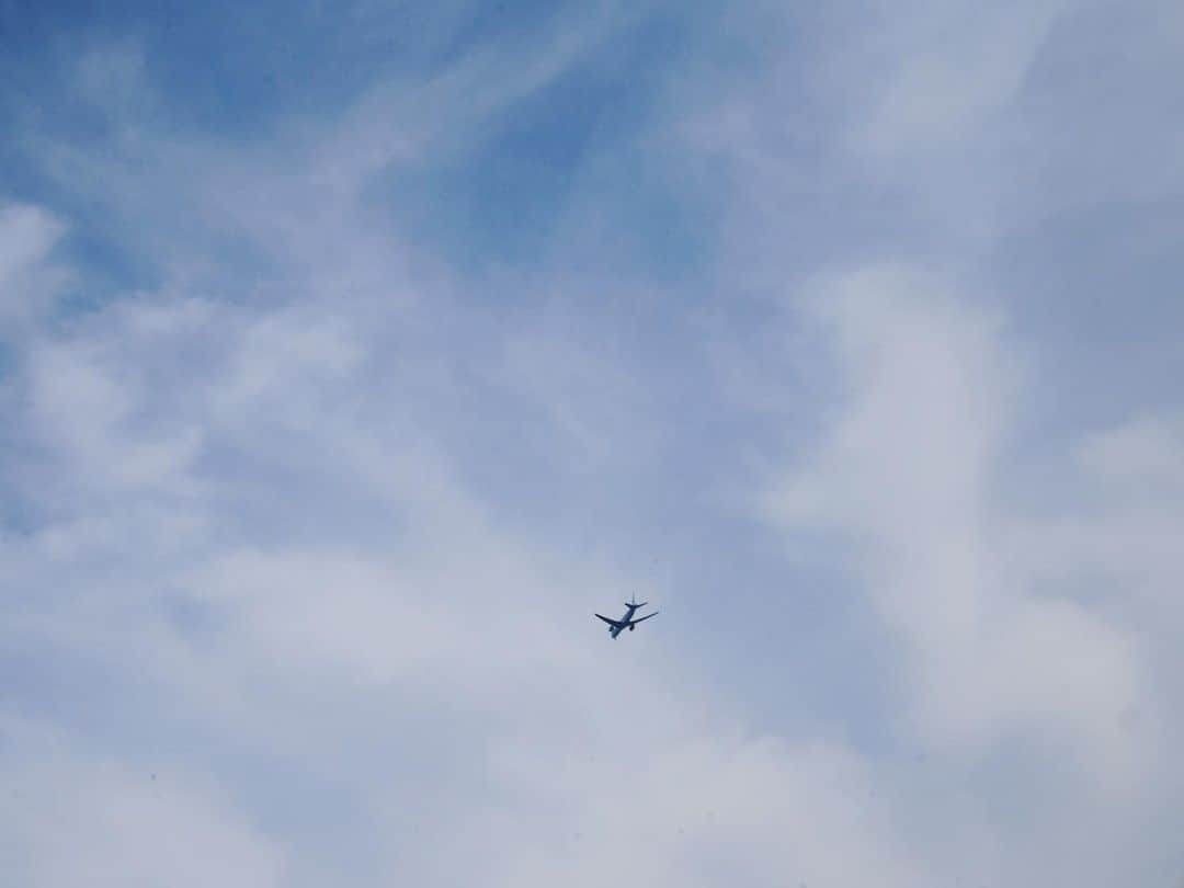 藤沢玲花のインスタグラム：「飛行機好きの息子が撮った写真🛫」