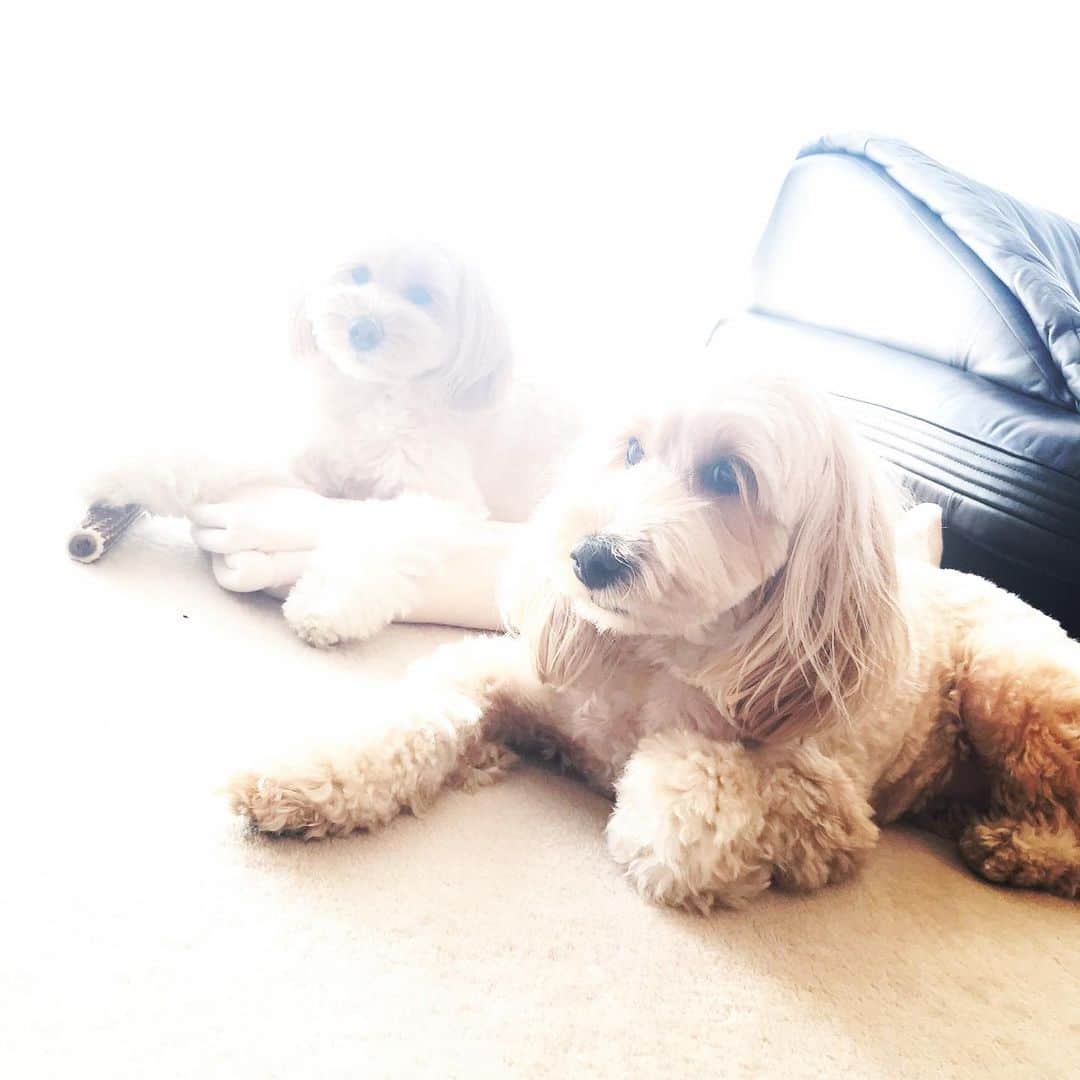 北山陽一のインスタグラム：「おはようございます。#きたやまおもち　#きたやまおかき」