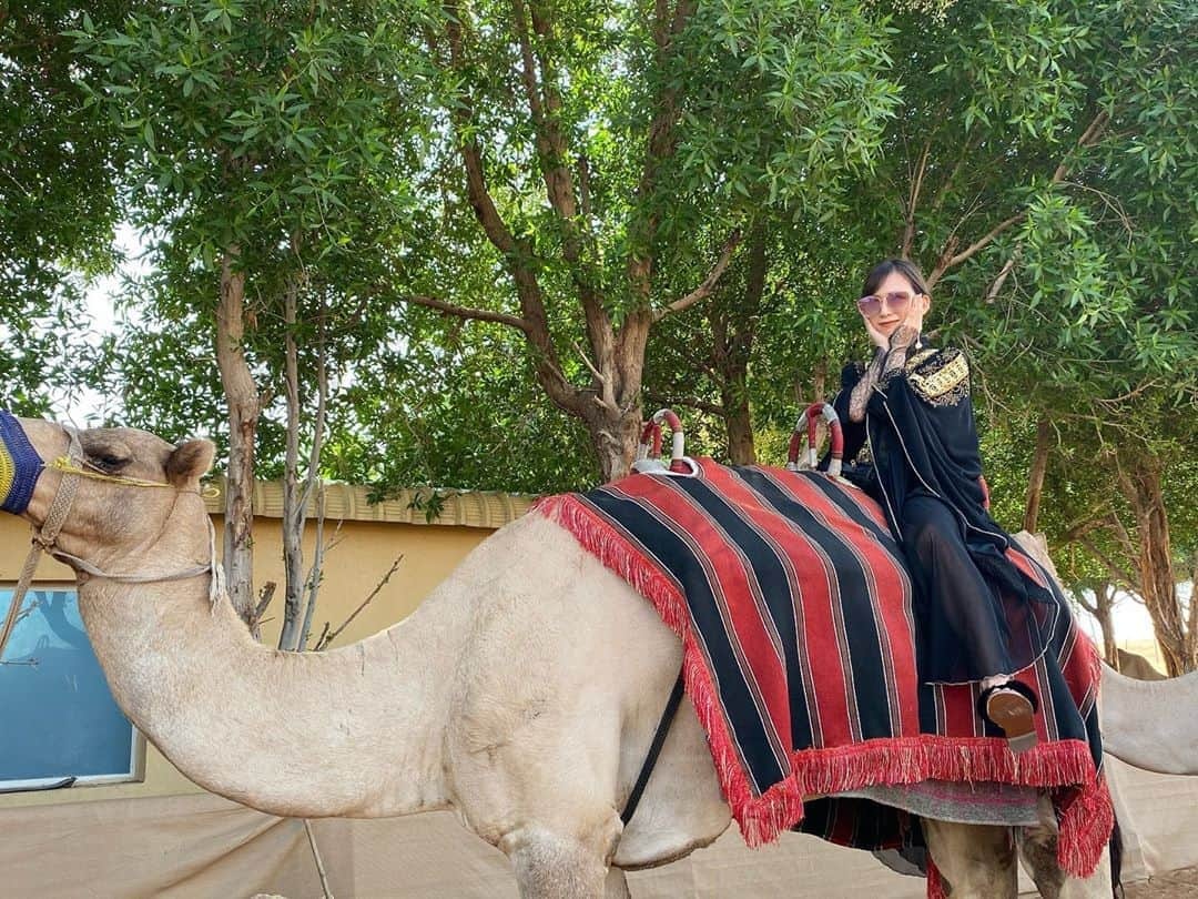 木下春奈さんのインスタグラム写真 - (木下春奈Instagram)「・ ・ 🐫🐫🐫 ・ ・ #dubai#ドバイ#🇦🇪 #desertsafari#camel#🐫」11月11日 17時36分 - haruna_kinoshita