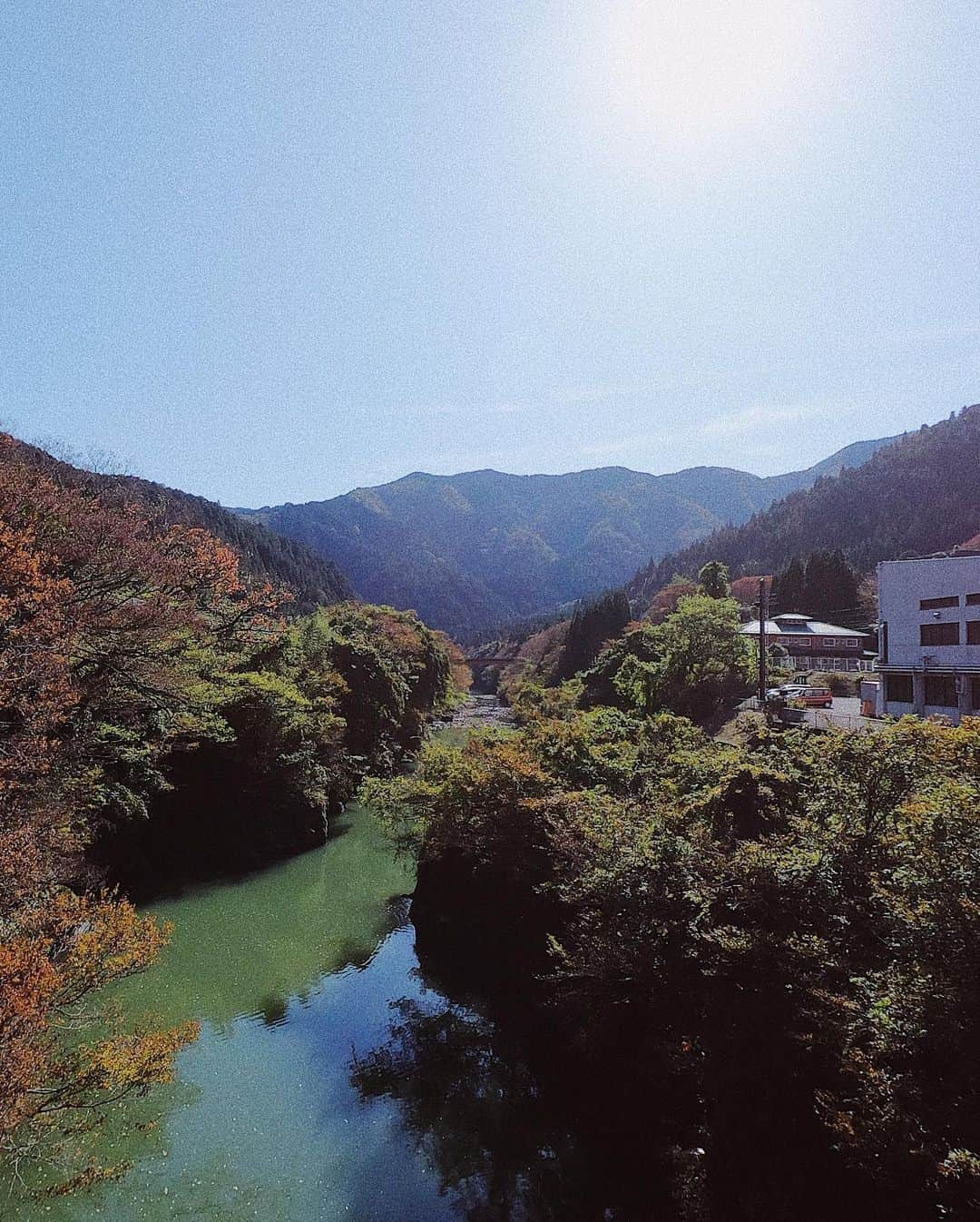 中村優さんのインスタグラム写真 - (中村優Instagram)「いびがわマラソン2019✨ 今年もありがとうございました！ 坂の多いハードなコースですが、応援も賑やかで終始楽しく走れました🏃‍♀️また来年もいびがわで会いましょう🍁　@ibigawamarathon1988_official」11月11日 12時24分 - nkmr_yu