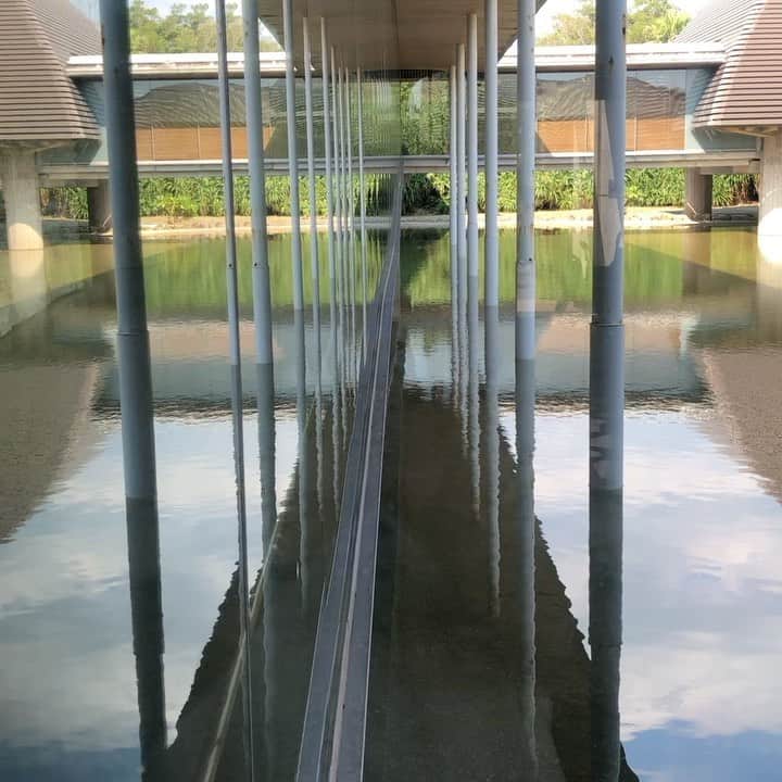 田中知之のグルメインスタ